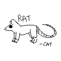 a beautiful rat drawn by a very cool cat