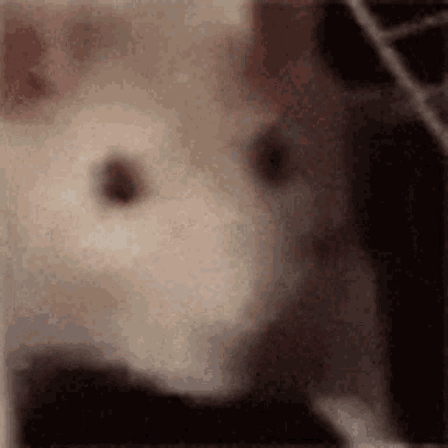 a rat jamming out