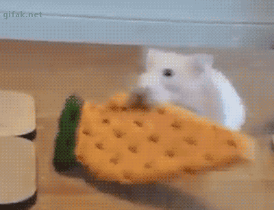 a cartoon rat hopping forth